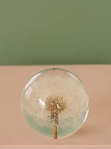 Books Accessories: Dandy Flower Globe