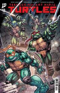 Teenage Mutant Ninja Turtles #13 Cover A (Williams II)