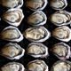 Half Shell Marlborough Oysters