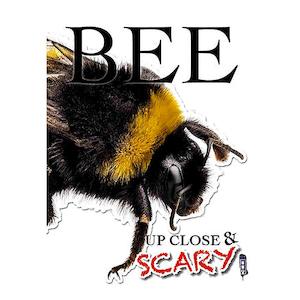 Bee (Up Close & Scary) | Louise & Richard Spilsbury