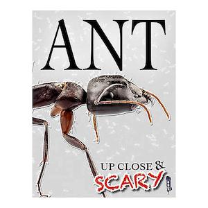 Ant (Up Close & Scary) | Louise & Richard Spilsbury