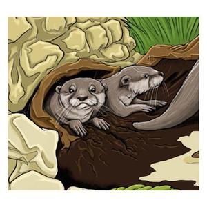 Childrens New Zealand: Jin'S Great Escape - Artho, Maria