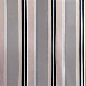 Specials: Chocolate Neopolitan