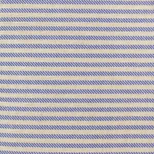 Occasional Upholstery: Robin Egg Stripe Cotton Fabric