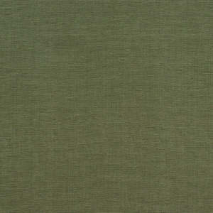 Petiole Cotton Olive