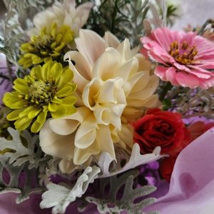 Spring subscription 2025