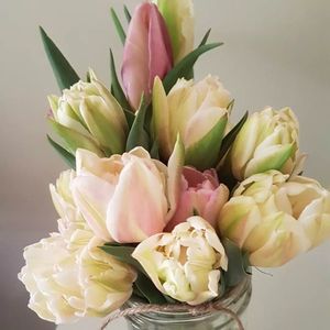 Products: Tulips – choose your bunch size, and by the stem