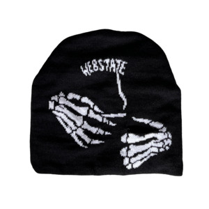 Stash Beanie