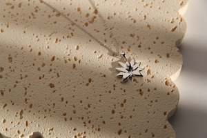 18k Gold Plated Jewellery: Lotus Necklace | Silver