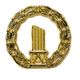 Lewis lapel pin