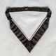RC – Scottish Constitution – apron 18 deg