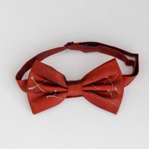 Chapter: Royal Arch Chapter – Companion apron