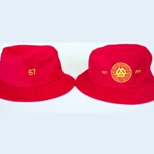 Rosettes – Irish Constitution