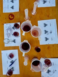 Blend your own Pinot Noir - Matahiwi Estate