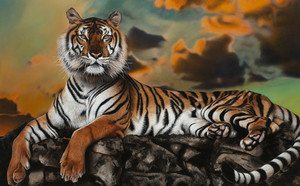 Bengal Ka Raja Matt Griffins Art