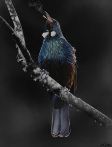 Products: The Draw of Dawn Matt Griffins Art