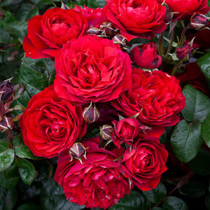 Products: In friendship