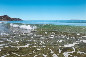 Mangawhai Wave
