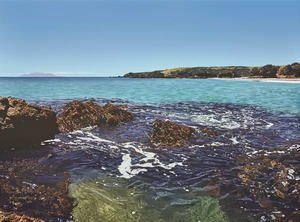 Products: Tāwharanui from the rocks