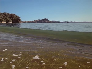 Products: Cooks Beach Wave