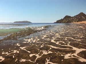 Products: Tairua Wave