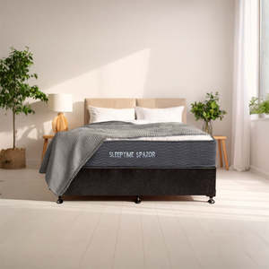 Zzz Time Spazor