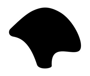 Infil Locking Strip (Black or White) - 1 Meter maverick-auto-glass