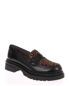 Footwear: Pitillos 10796 Black Leather & Leopard Loafer