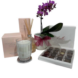 gift bundles: Mini Phalaenopsis Orchid Bundles