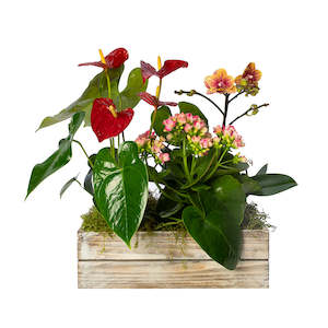 Gift Baskets: Garden Gift