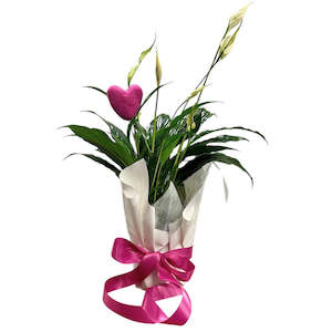 Peace Lily with Felt Heart