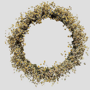 100: Matricaria Wreath