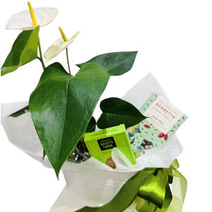 Gift Baskets: Anthurium Tin with Chocolate & Fudge