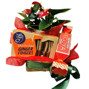 Gift Baskets: Red Anthurium Gift Basket