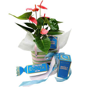 Pink Anthurium Gift Bag