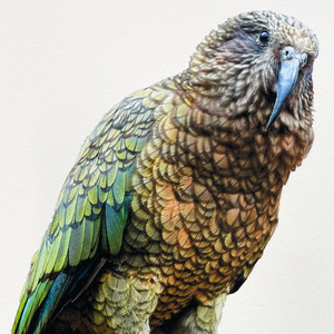 Products: A0 Hahnemühle Photo Rag MBS Digital