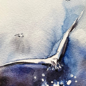 Products: A1 Hahnemühle German Etching MBS Digital