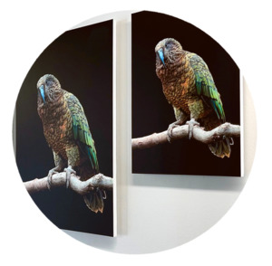 Foam Boards MBS Digital