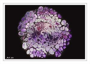 Products: Golden Sandwich – Digital Image