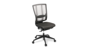 Cloud Ergo Chair (February Special)