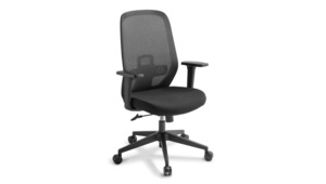 Chair Of The Month: Memo Mesh Chair (Chair of the Month)