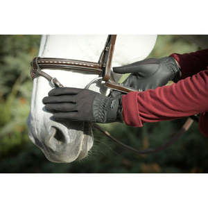 Rider Collection: Penelope Competition Gloves