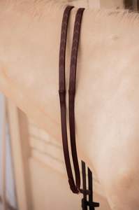 Equine: Penelope Symphonies Reins