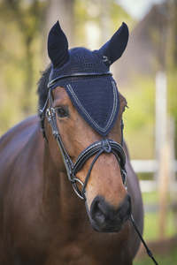 Equine: Penelope Strass Long Fly Ear Bonnet