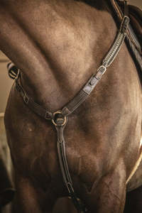 Equine: Penelope Martin Breastplate
