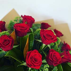 Anniversary: 1 Dozen Red Roses