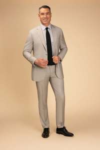 Rembrandt: Rembrandt - Beige Sharkskin Suit
