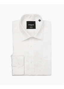 Business Shirts: Rembrandt - Sinatra Shirt - White