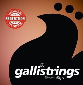 Products: ACOUSTIC ProCoated – McPherson Stompboxes NZ