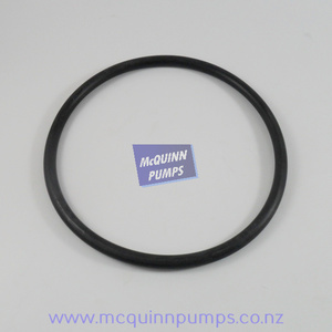 Anderson 1105 Piston Pump – McQuinn Pumps: 670/57 Anderson Cylinder O Ring 600/1100/1700 Head/End – Per Each